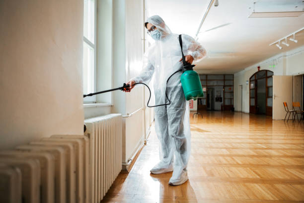 Best Local Pest Control Services  in Panguitch, UT